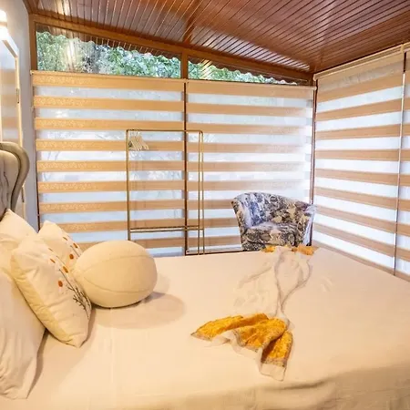 Private In The Forest With Pool And Jacuzzi Case de vacanță *