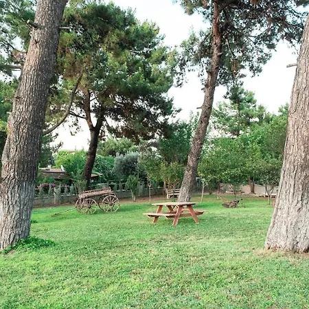 Private In The Forest With Pool And Jacuzzi *